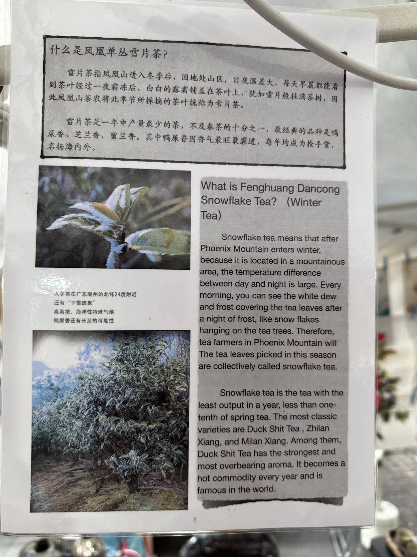 👍 中罐茶 雪片【鸭屎香】 Y2024 Winter 【Duck Shit Tea】, 50g