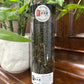 【BITTER TEA】Small Leaf  小叶【苦丁茶】  FT