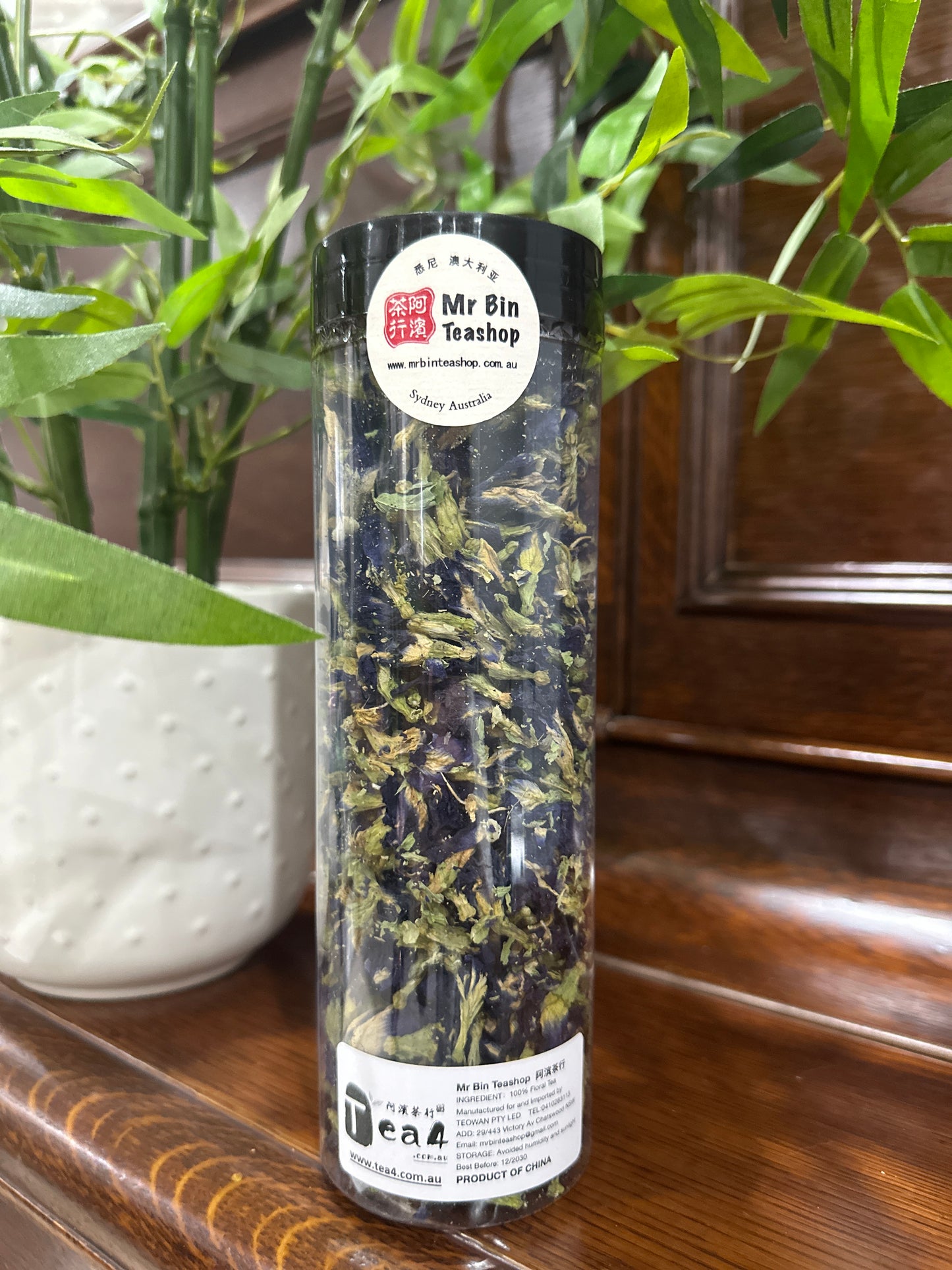 【BLUE BUTTERFLY】 【蓝蝴蝶】  FT