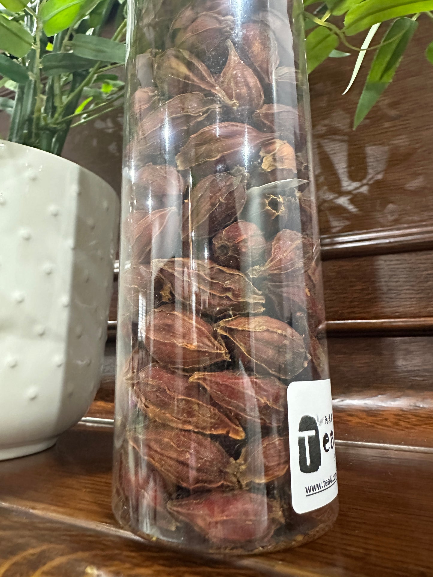 【Gardenia Fruit】【栀子果】 FT