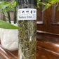 【BAMBOO GREEN】 【竹叶青】   FT