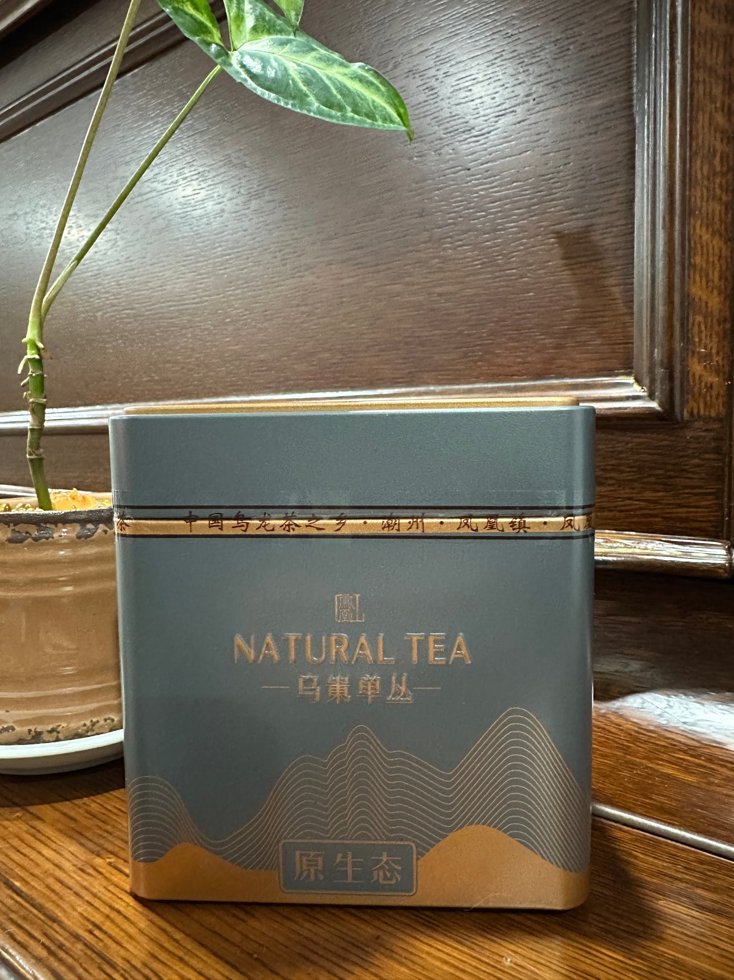 凤凰单丛 老春【蜜兰香】【Honey orchid】（ Spring）125g