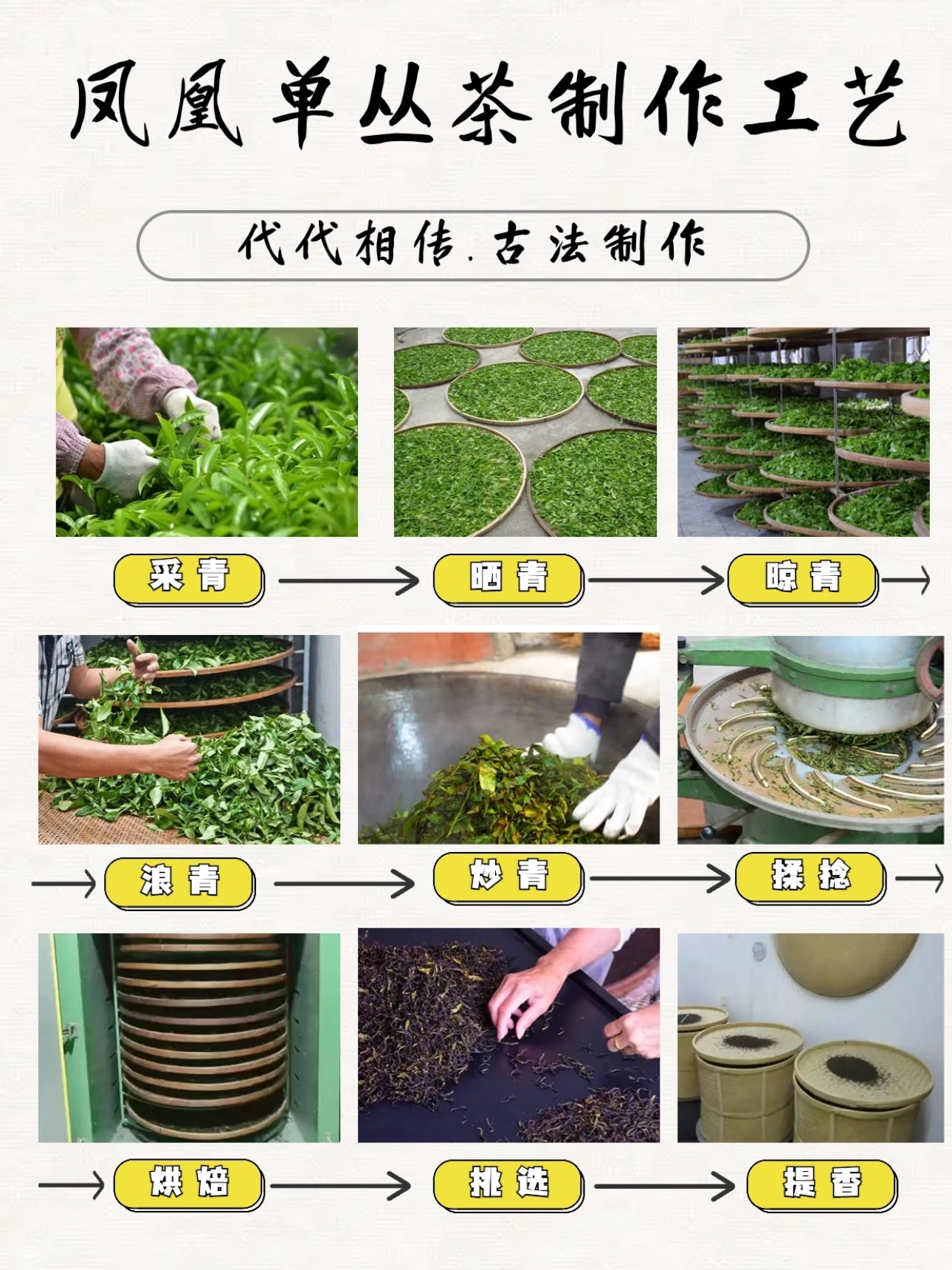 👍 国宾茶【岭头白叶】 【Lintou Baiye】,125g