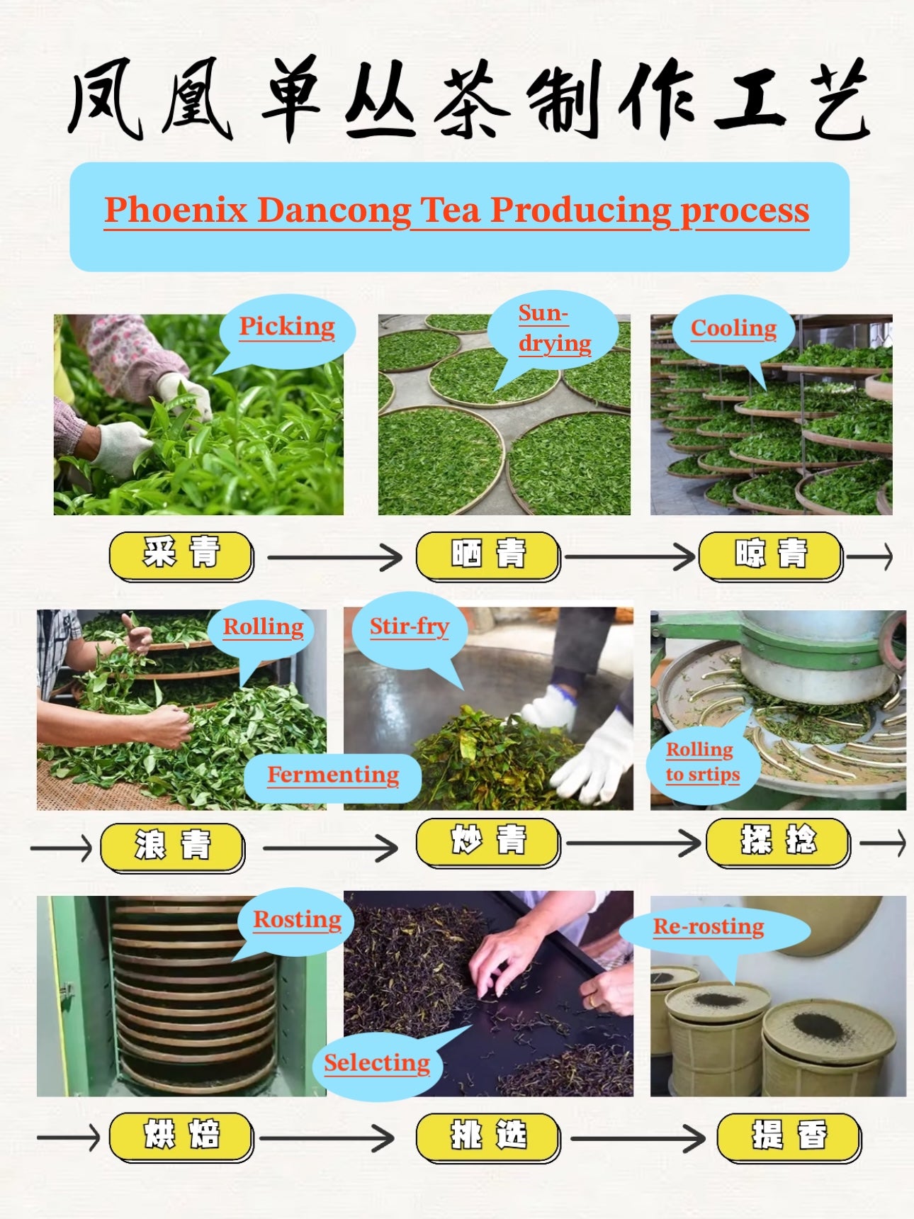 LNY Sales～  凤凰单丛 特级雪片【鸭屎香】Winter Special Grade 【Duck Shit Tea】100g