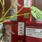 👍 凤凰单丛【荔枝香】BIG TIN 【Lychee Tea】 125g
