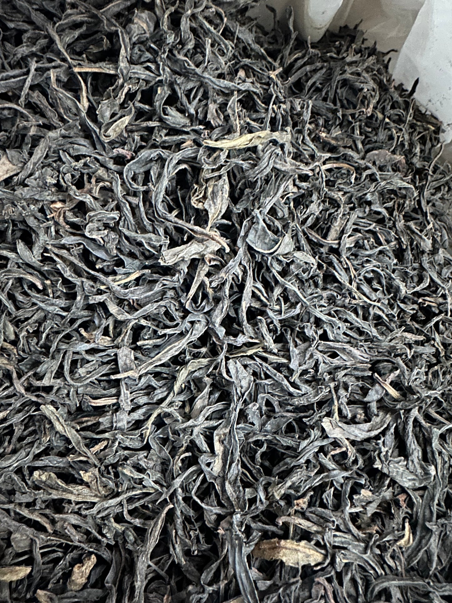 👍【老丛水仙】Old tea Tree “Shui Xian” 125g