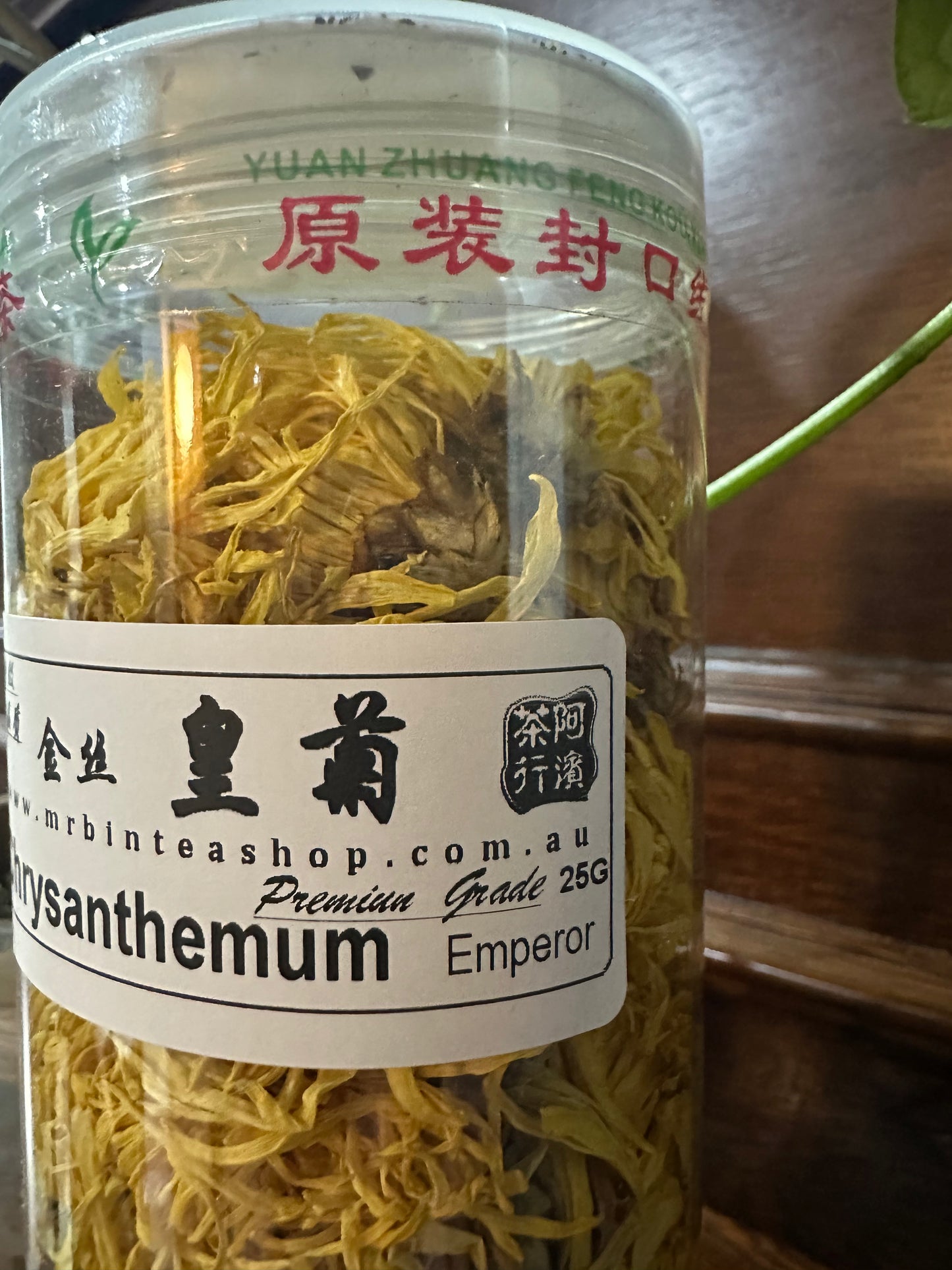 金丝【菊皇】EMPEROR【CHRYSANTHEMUM】      FT