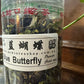 【蓝蝴蝶】【BLUE BUTTERFLY】    FT