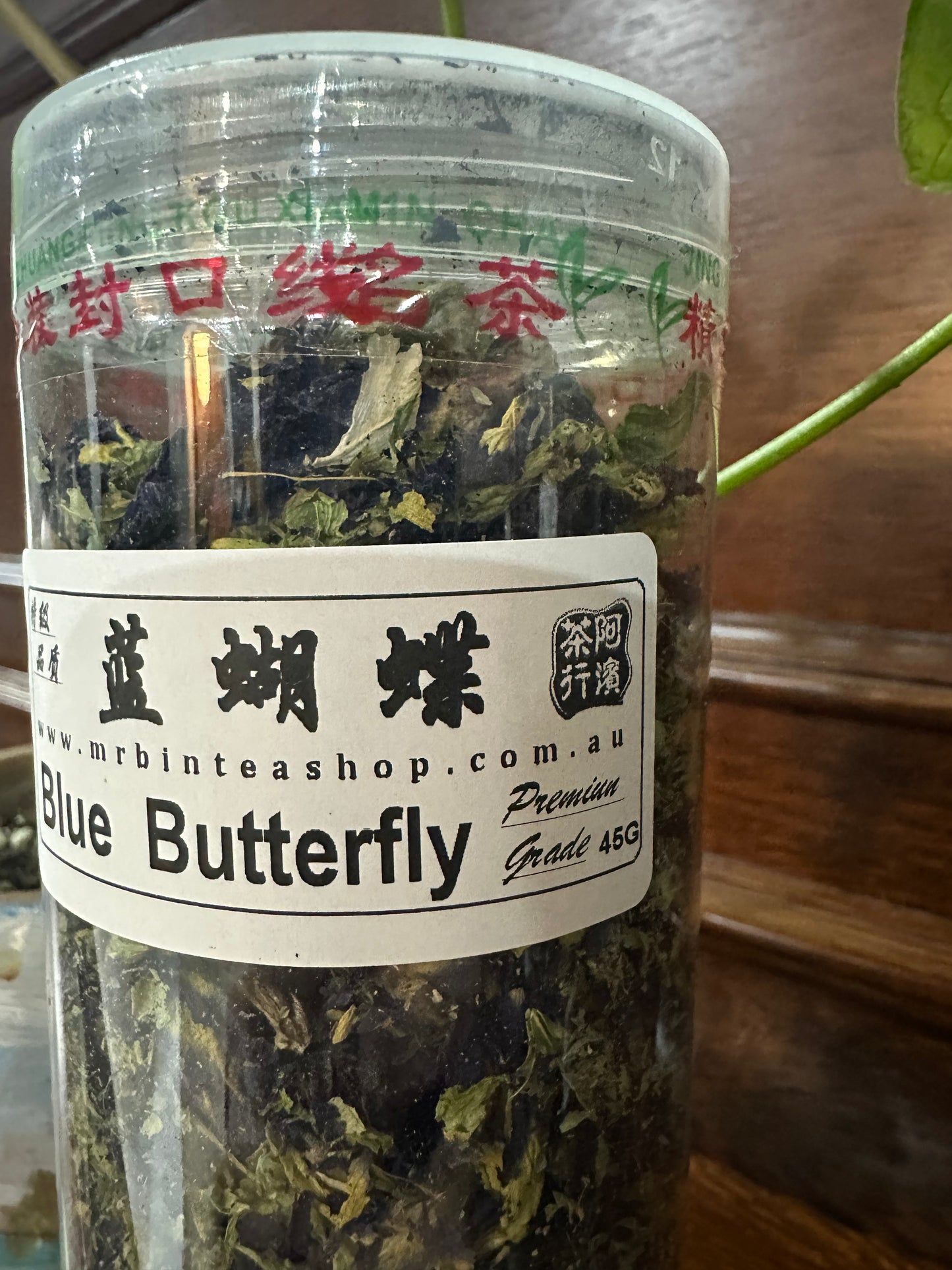 【蓝蝴蝶】【BLUE BUTTERFLY】    FT