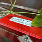 凤凰单丛 雪片【芝兰香】Winter 【Orchid Aroma】 125g