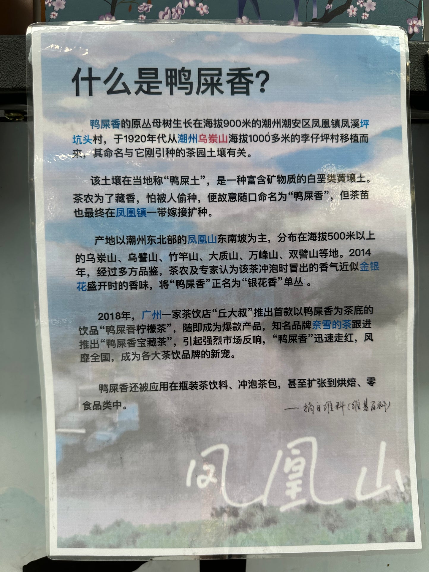 👍 中罐茶 雪片【鸭屎香】 Y2024 Winter 【Duck Shit Tea】, 50g