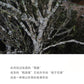 👍 中罐茶 雪片【鸭屎香】 Y2024 Winter 【Duck Shit Tea】, 50g