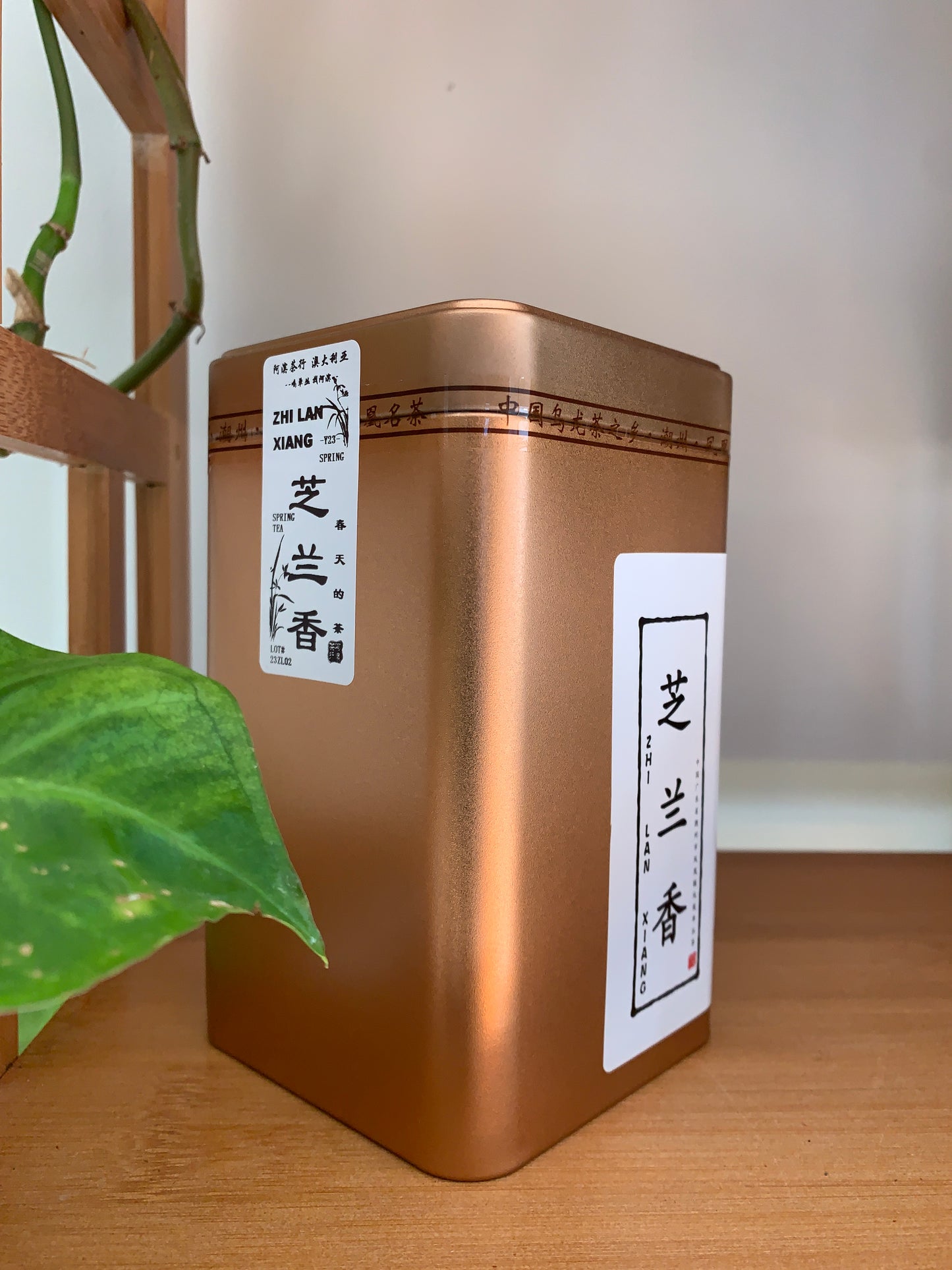 凤凰单丛【芝兰香】春天的茶 SPRING【ZHILAN XIANG】125g