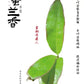 凤凰单丛【蜜兰香】老春茶【MILAN XIANG】（Old Spring）125g