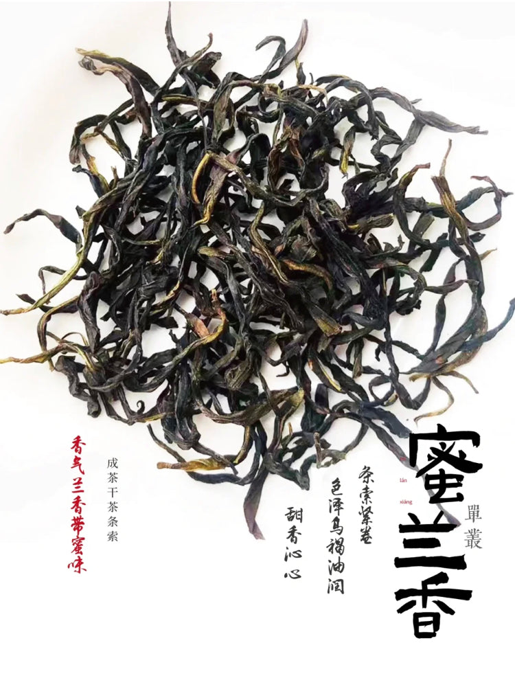 凤凰单丛【蜜兰香】老春茶【MILAN XIANG】（Old Spring）125g
