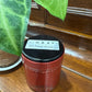 中罐茶 稀品 【稻花香】Rare【Rice Flower Aroma】50g