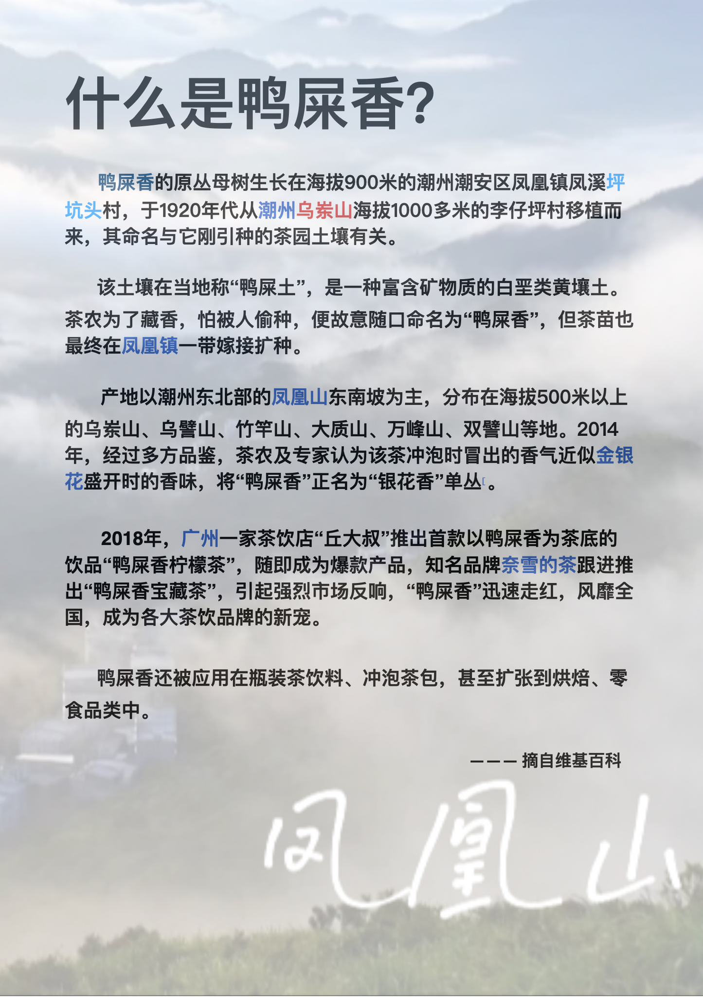 LNY Sales～  凤凰单丛 特级雪片【鸭屎香】Winter Special Grade 【Duck Shit Tea】100g