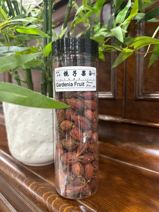 【Gardenia Fruit】【栀子果】 FT