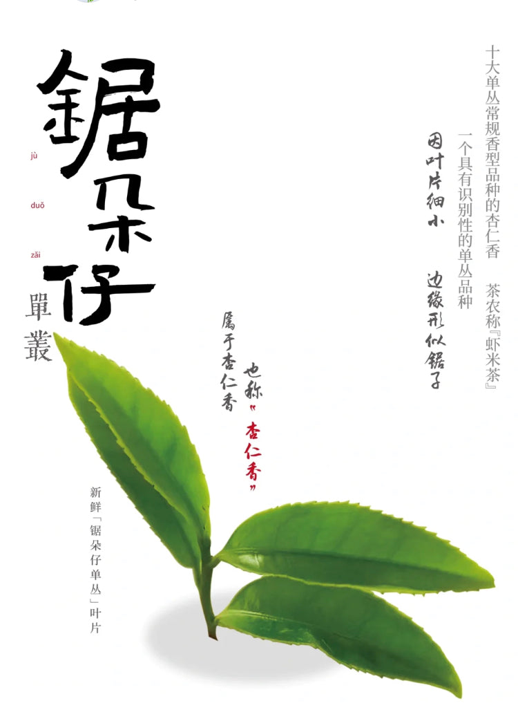 👍 凤凰单丛 早春【乌岽锯朵仔】 WUDONG High Aroma【Saw Teeth Tea】 125g “Hot Selling”