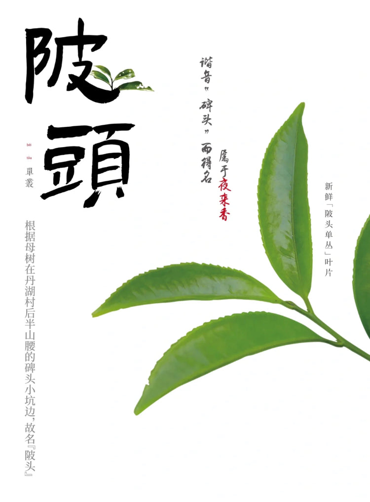 凤凰单丛 乌岽【陂头香】 WUDONG【Pitou Xiang】，125g