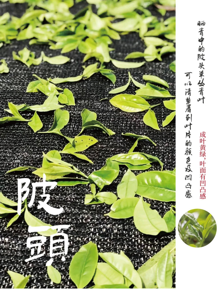 凤凰单丛 乌岽【陂头香】 WUDONG【Pitou Xiang】，125g