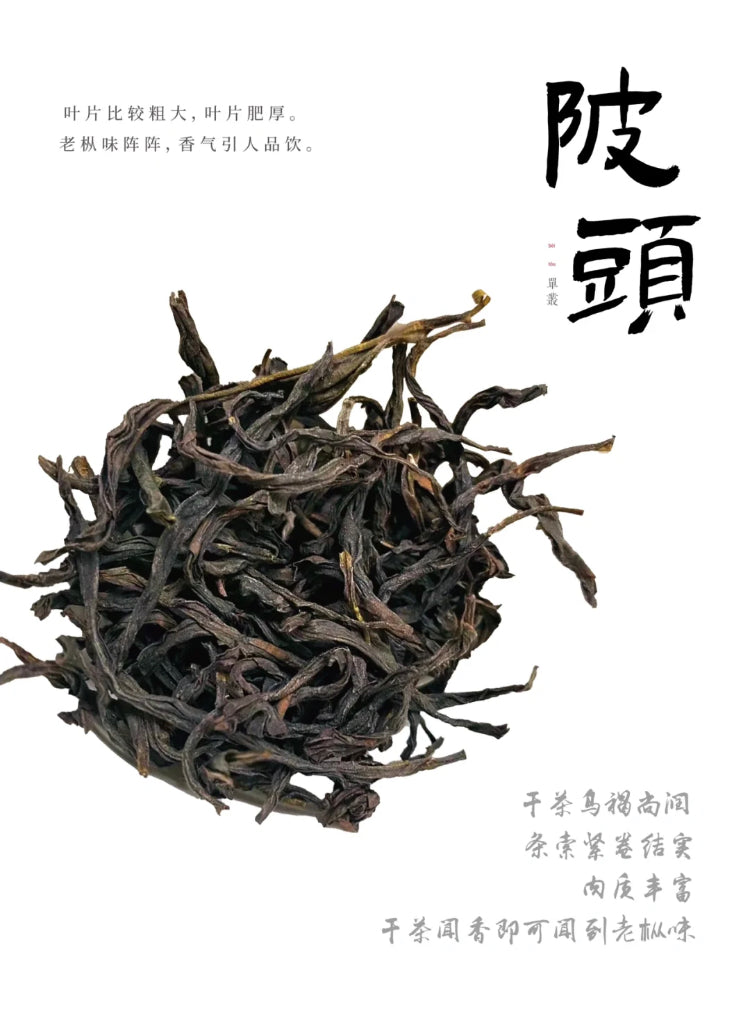 凤凰单丛 乌岽【陂头香】 WUDONG【Pitou Xiang】，125g
