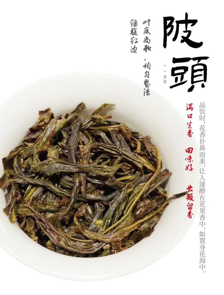 凤凰单丛 乌岽【陂头香】 WUDONG【Pitou Xiang】，125g