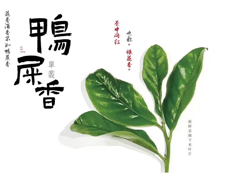 👍 凤凰单丛 雪片【鸭屎香】 Winter 【Duck Shit Tea】  ,125g