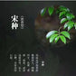 👍 中罐茶 【宋种】来自宋朝的味道 Wudong 【Song Zhong】50g