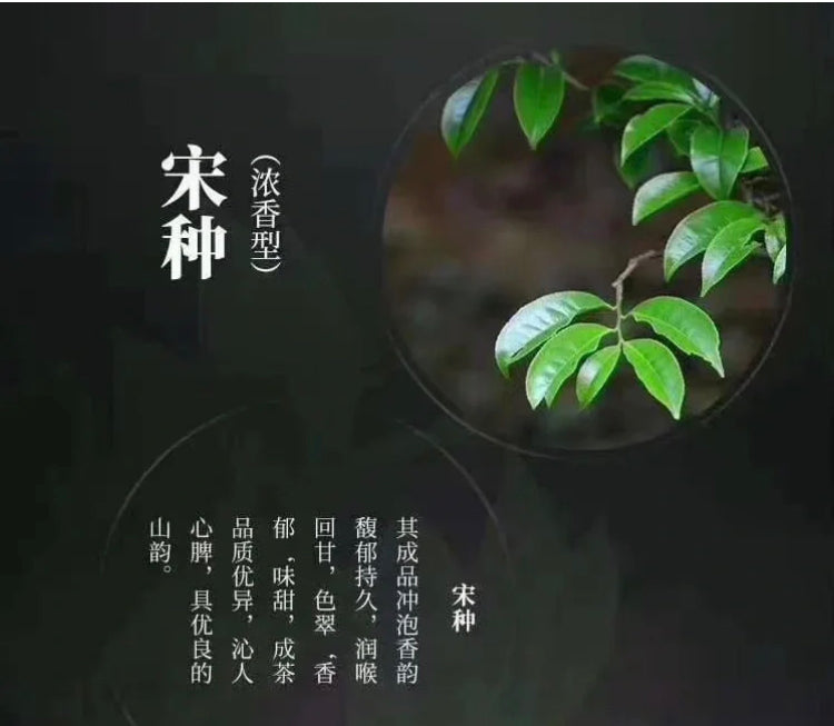 👍 中罐茶 【宋种】来自宋朝的味道 Wudong 【Song Zhong】50g