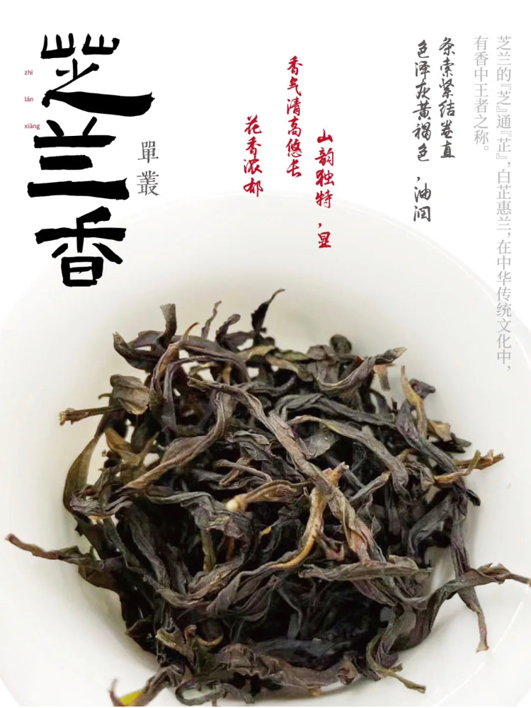 👍 中罐茶 雪片【芝兰香】Winter 【Zhilan Xiang】 50g