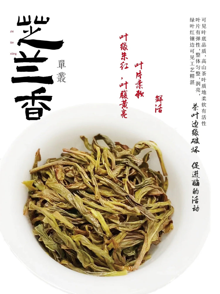 👍 中罐茶 雪片【芝兰香】Winter 【Zhilan Xiang】 50g