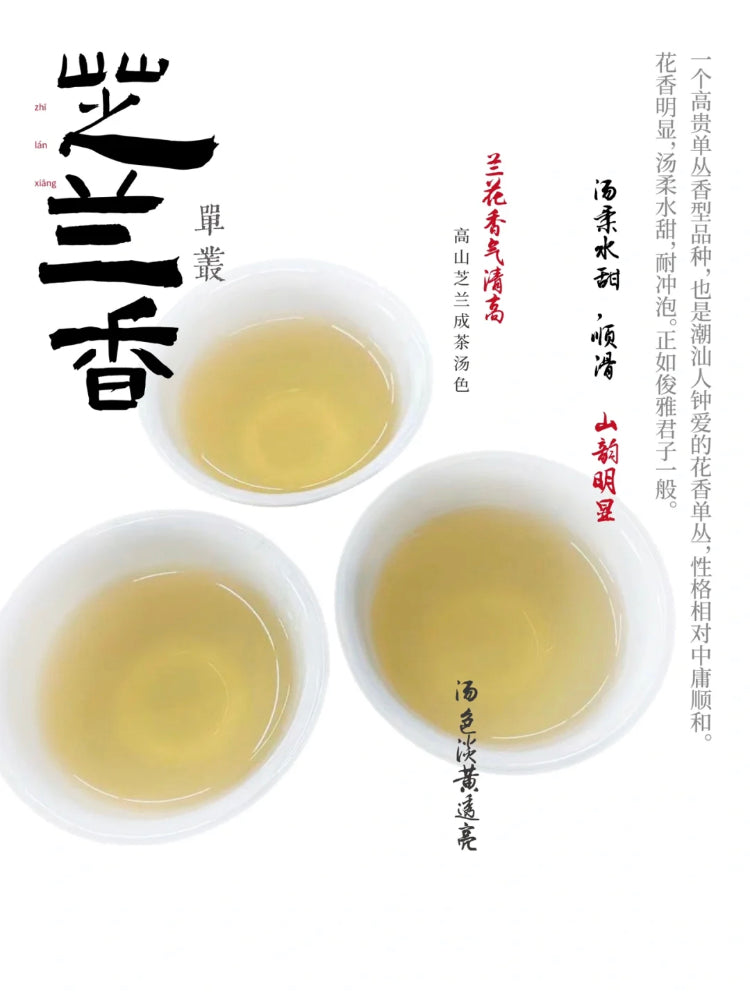 👍 中罐茶 雪片【芝兰香】Winter 【Zhilan Xiang】 50g