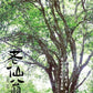凤凰单丛 珍品乌岽【老仙翁】 Wudong 【Old Immortal】125g