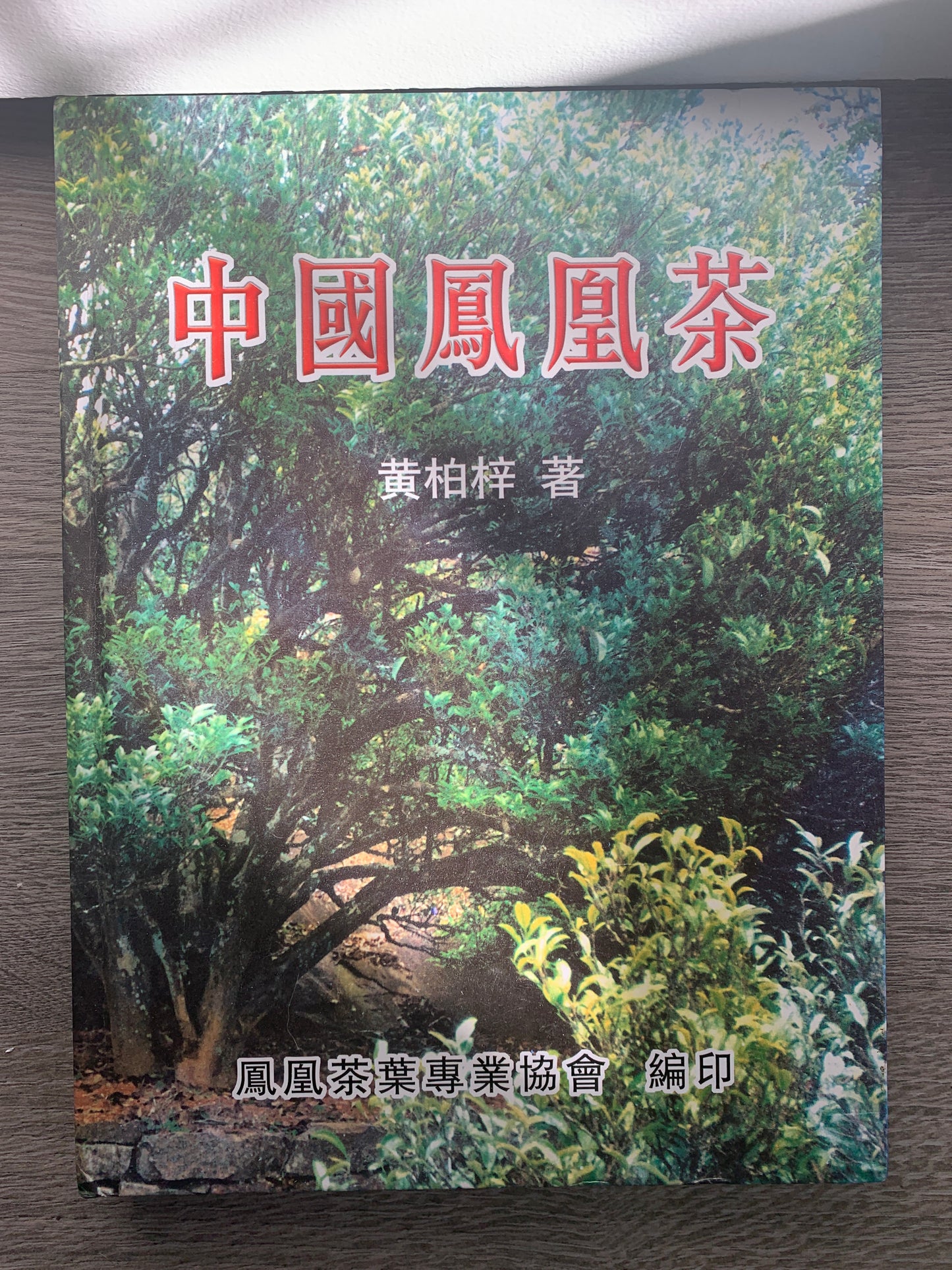 凤凰单丛 乌岽中坪【盖山香】 WUDONG 【Gaishan Xiang】125g
