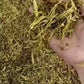 “极稀珍品”高端礼盒【金玉满堂】（金丝玉兰香）Luxury Gift Box Tea 【GOLD SILK MAGNOLIA】200g