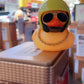 【社会我鸭哥】【TIKTOK DUCK TOY】(other)