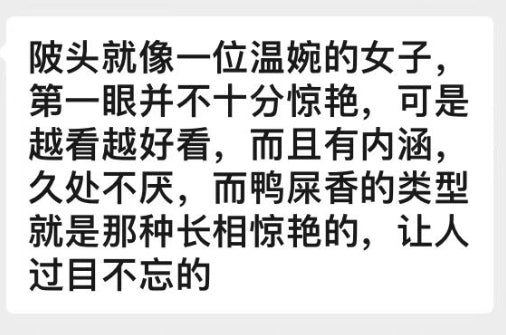 凤凰单丛 乌岽【陂头香】 WUDONG【Pitou Xiang】，125g