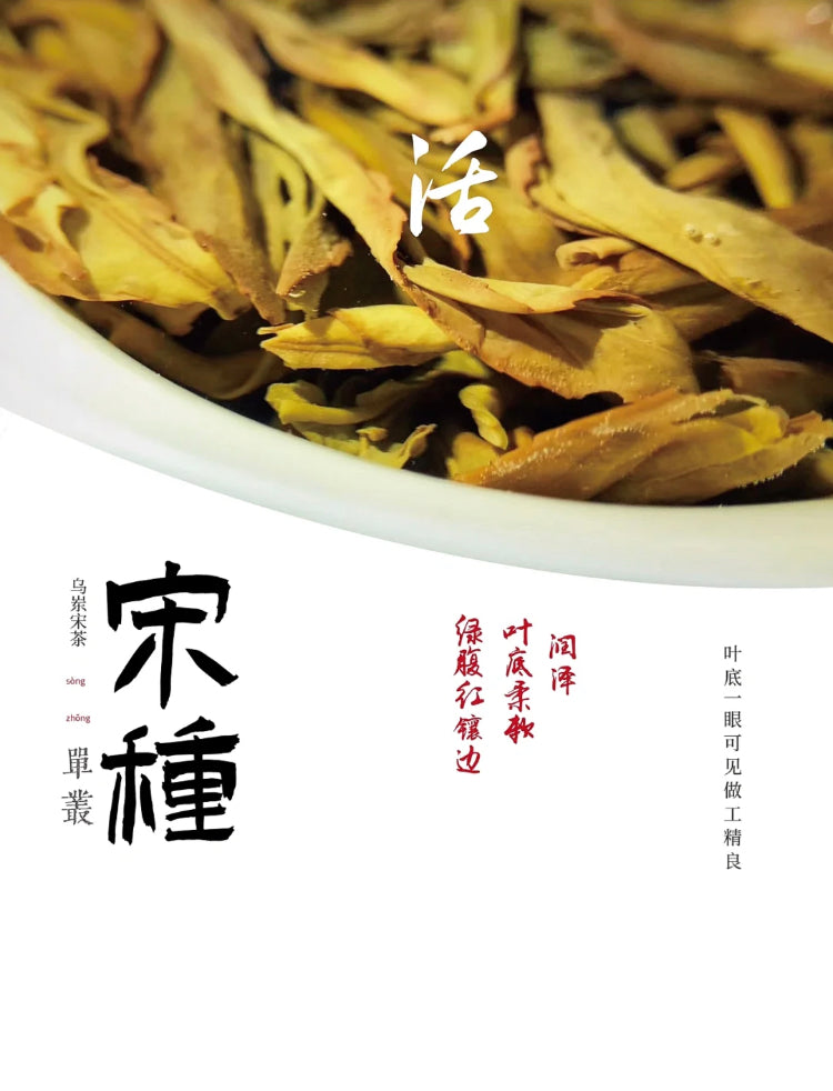 👍 中罐茶 【宋种】来自宋朝的味道 Wudong 【Song Zhong】50g