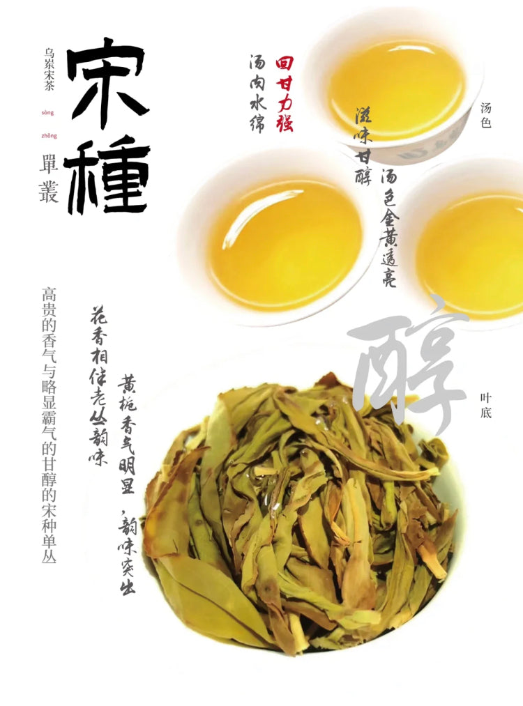 👍 中罐茶 【宋种】来自宋朝的味道 Wudong 【Song Zhong】50g